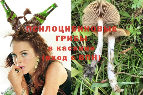 спиды Абдулино