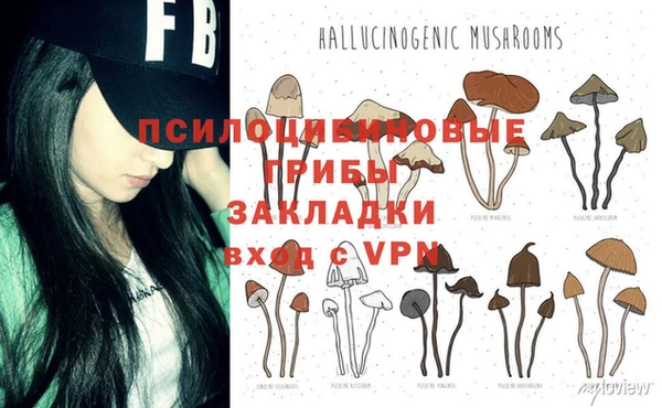не бодяженный Семёнов