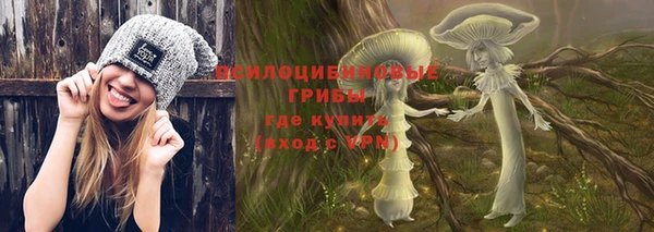 стаф Дмитриев