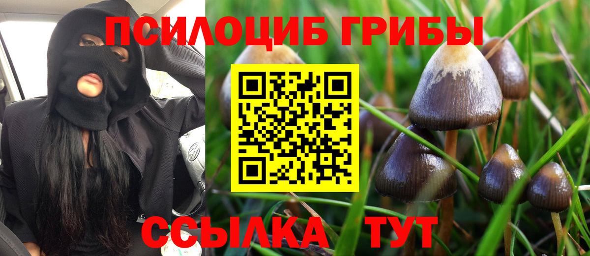 Галлюциногенные грибы прущие грибы Карталы