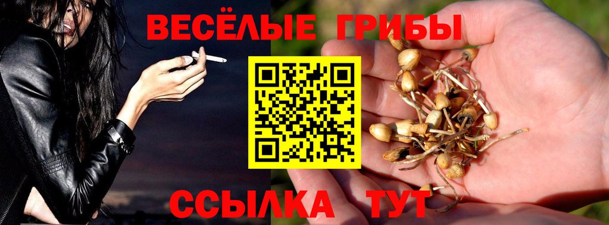 Псилоцибиновые грибы прущие грибы  Псилоцибиновые грибы ЛСД  купить наркоту  Вход с VPN  Карталы 